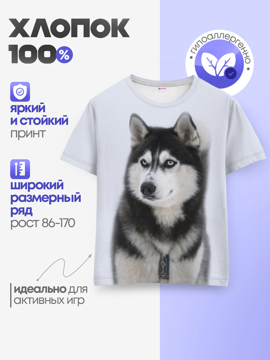 ХАСКИ
