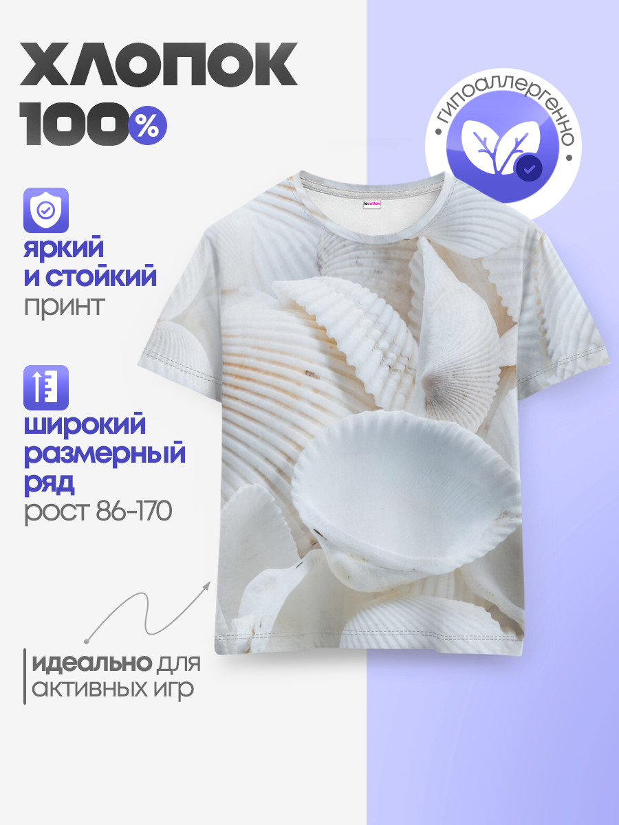 Ракушки