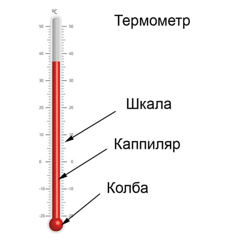 Покажи градусник. Из каких основных частей состоит термометр. Строение жидкостного термометра. Основные части термометра 2 класс.