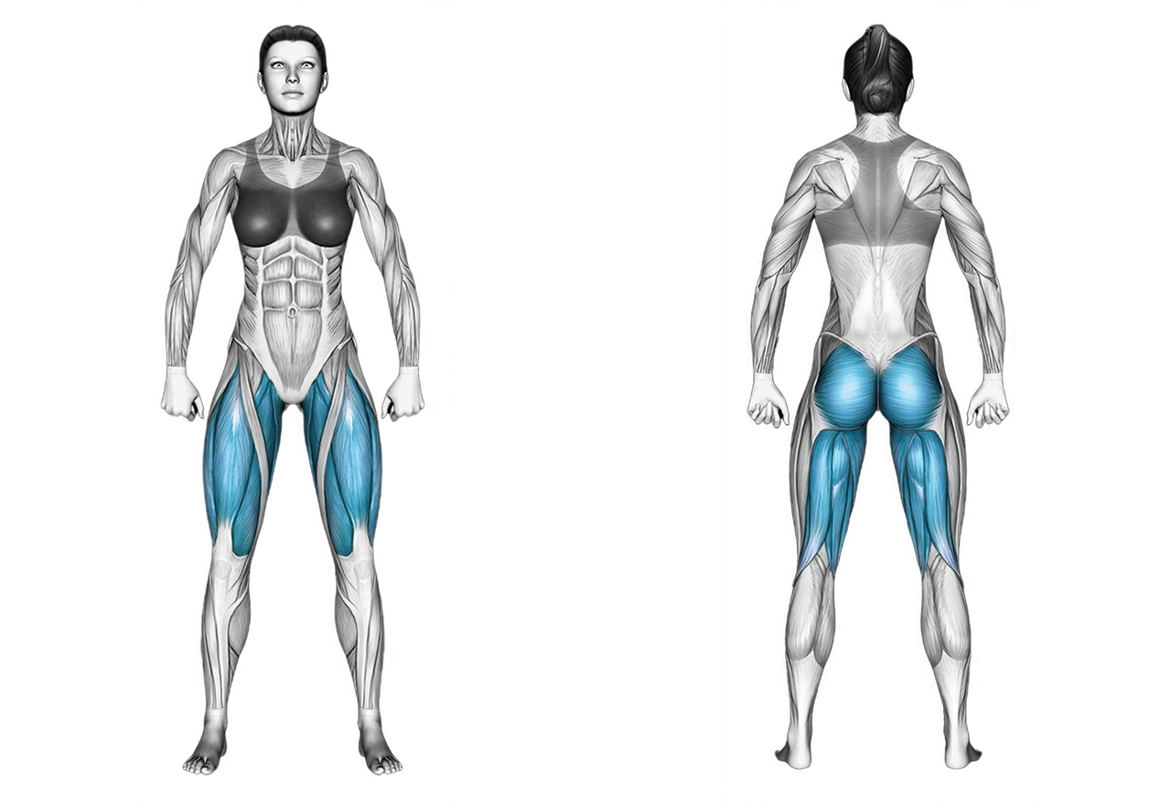 Dumbbell Front Squat: legs