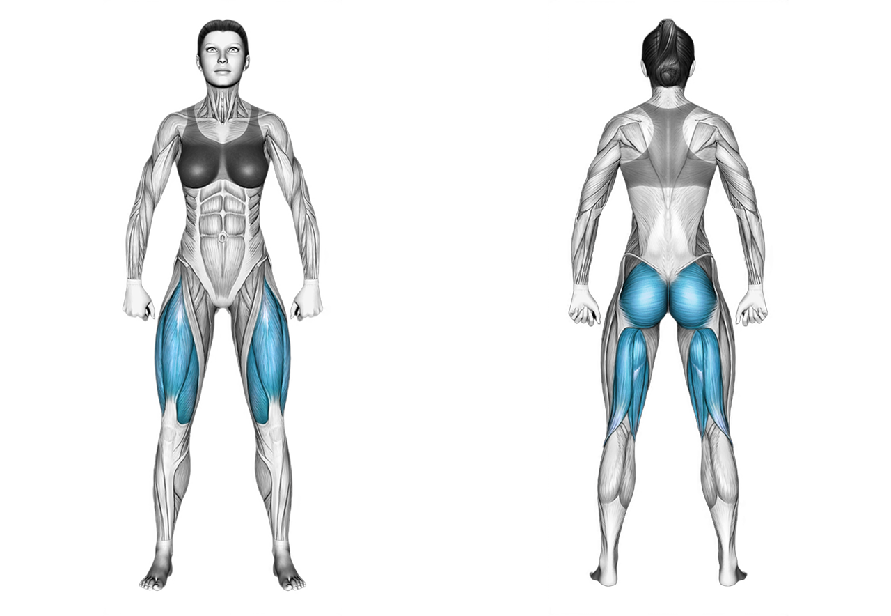 Lever Angled Leg Press: legs, glutes