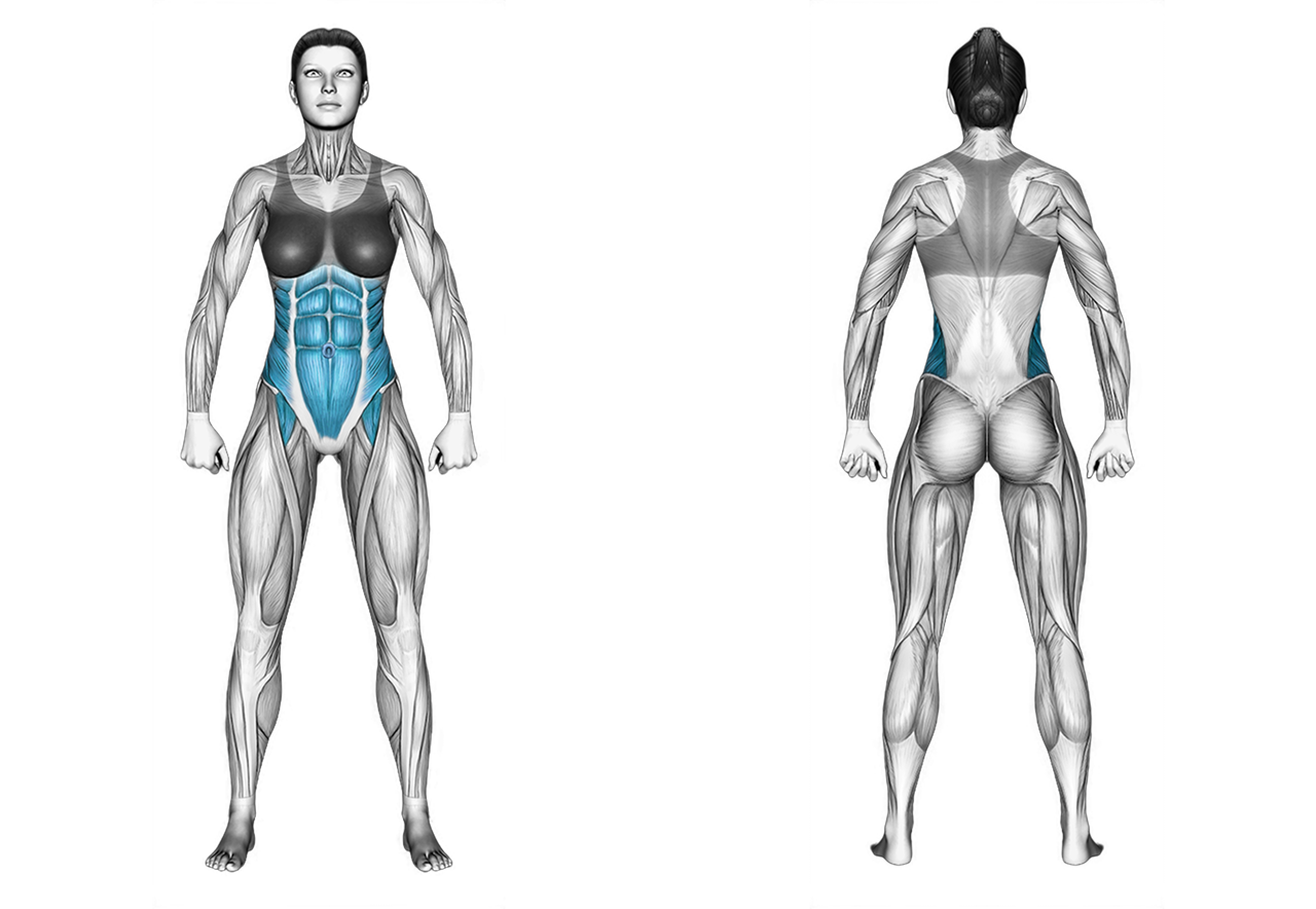 Leg Raise with Hip Lift: abs, glutes