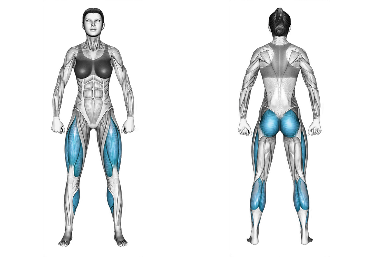 Air Bike: legs, glutes