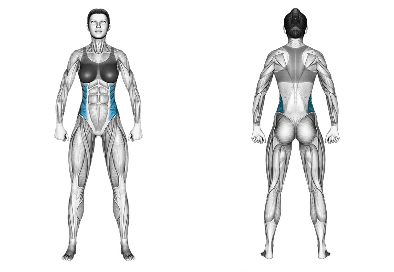 Dumbbell Side Bend: abs
