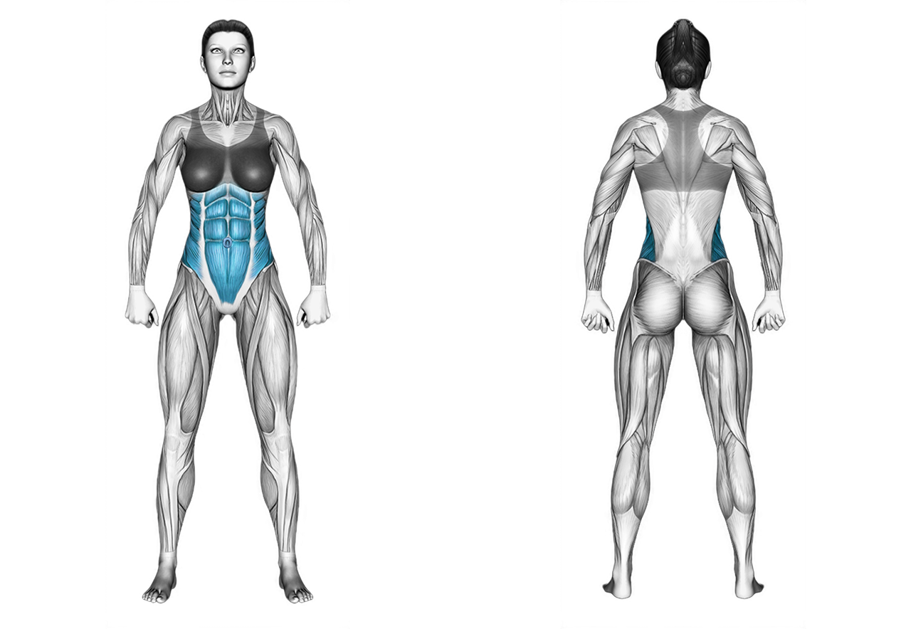 Dead Bug: abs