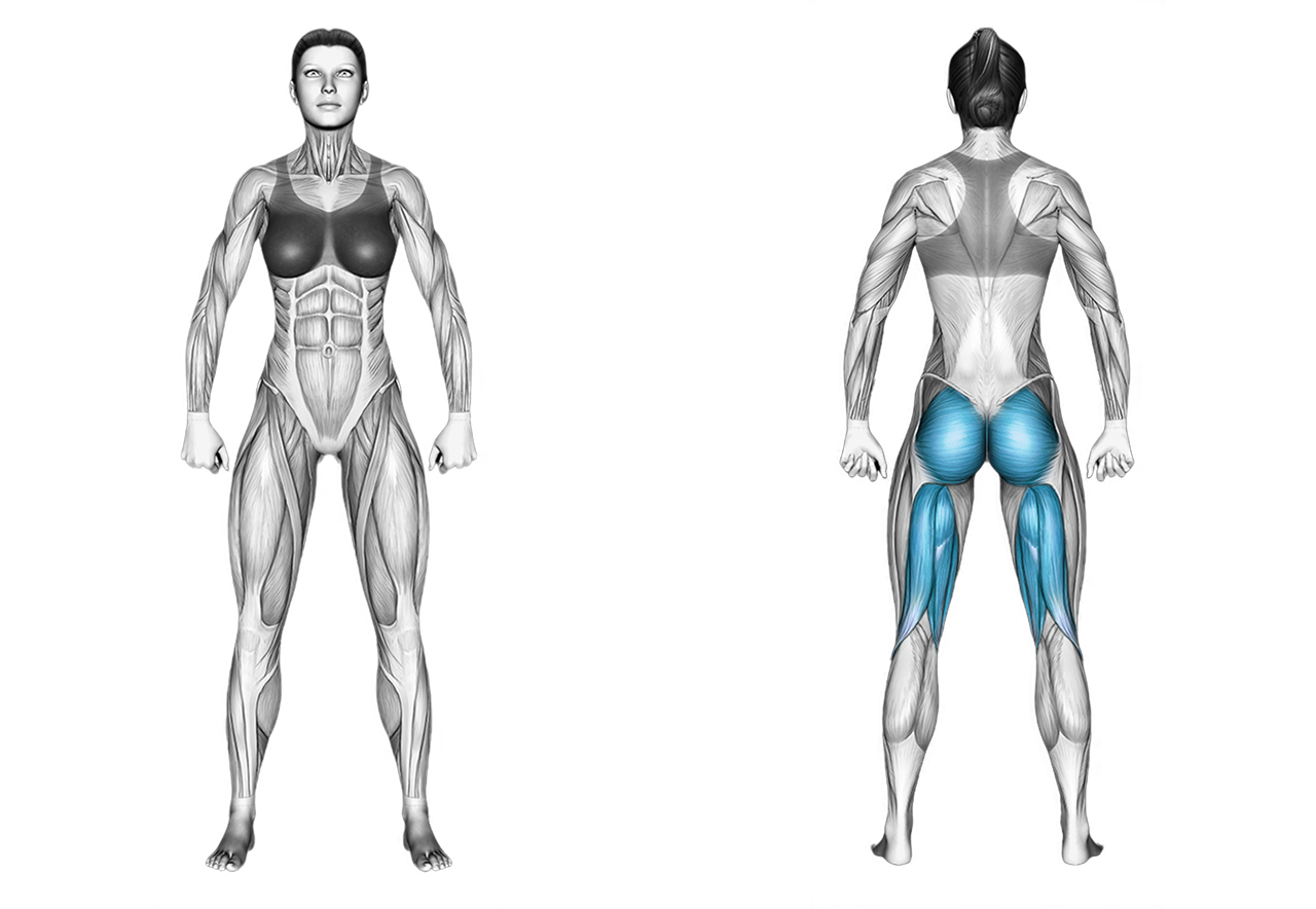 Lever Hip Thrust: glutes
