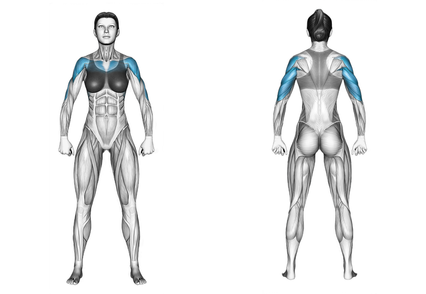 Decline Push up: chest