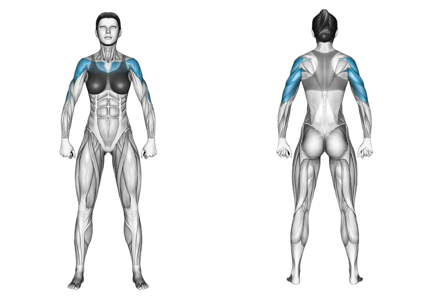 Cable Standing Chest Press: chest