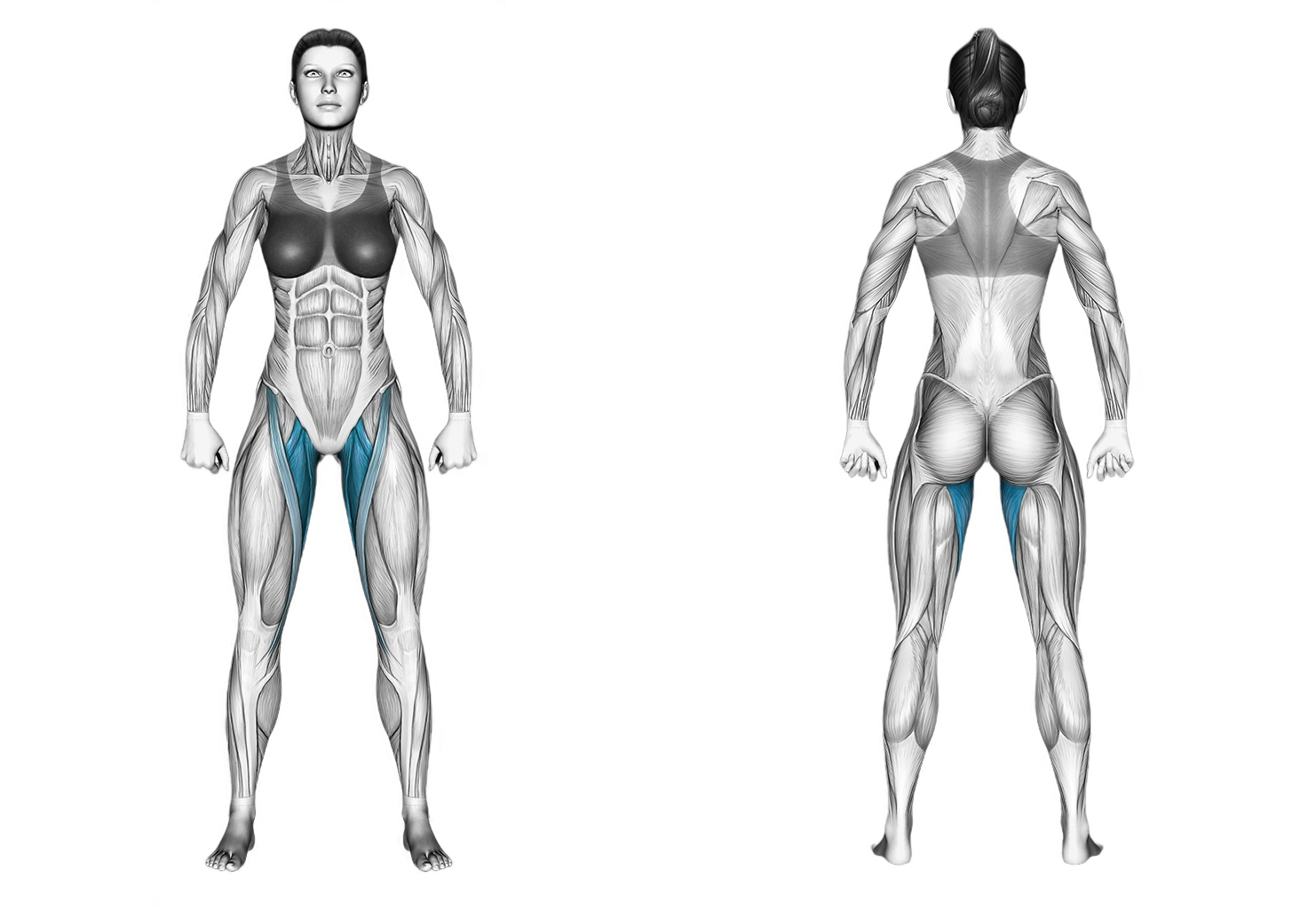 Cable Hip Adduction: legs