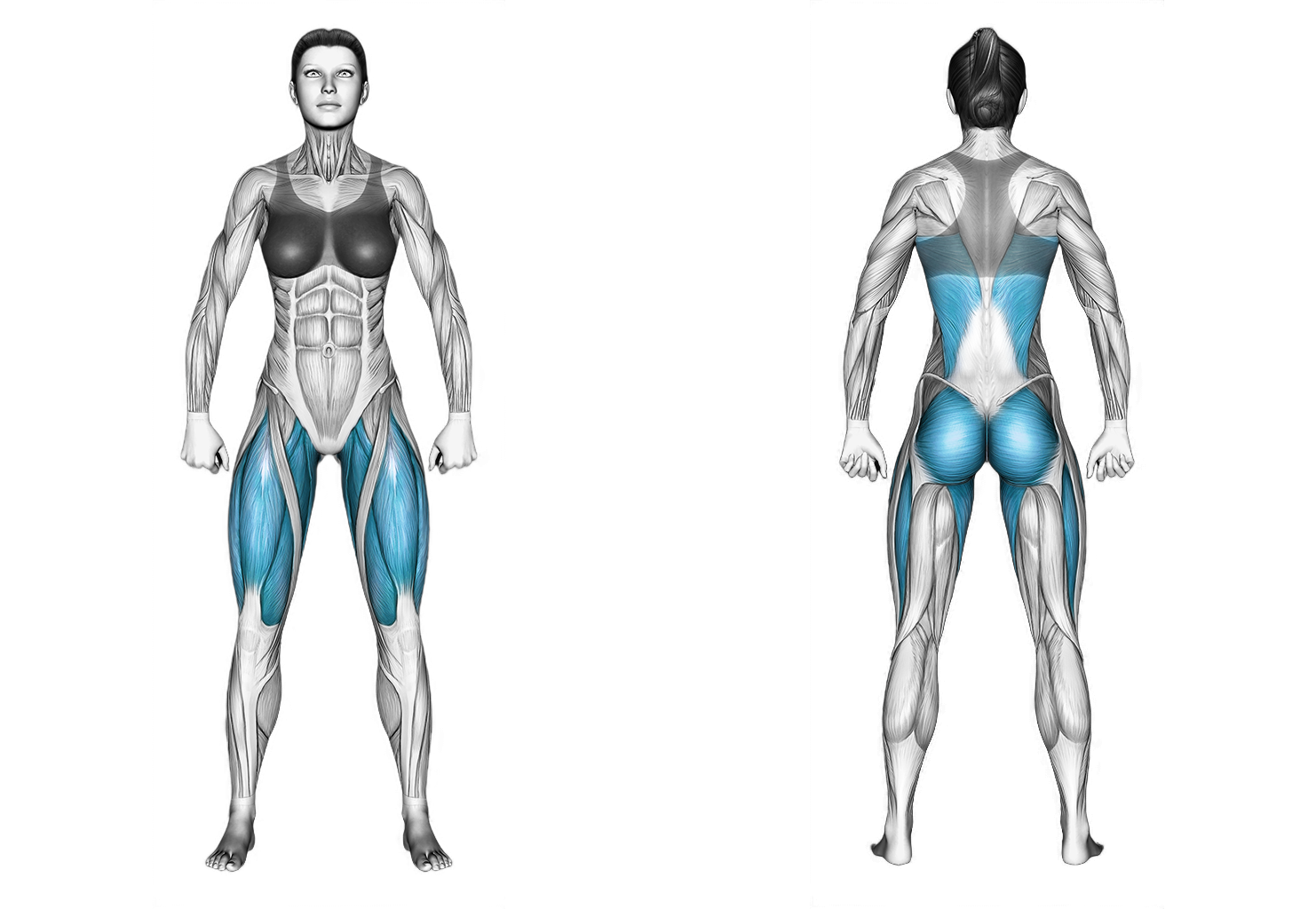 Dumbbell Sumo Squat: legs