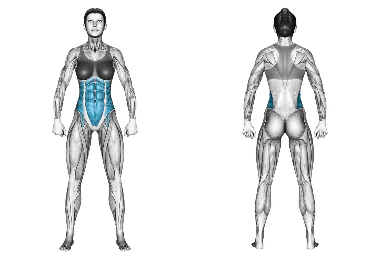 Twisted Leg Raise: abs