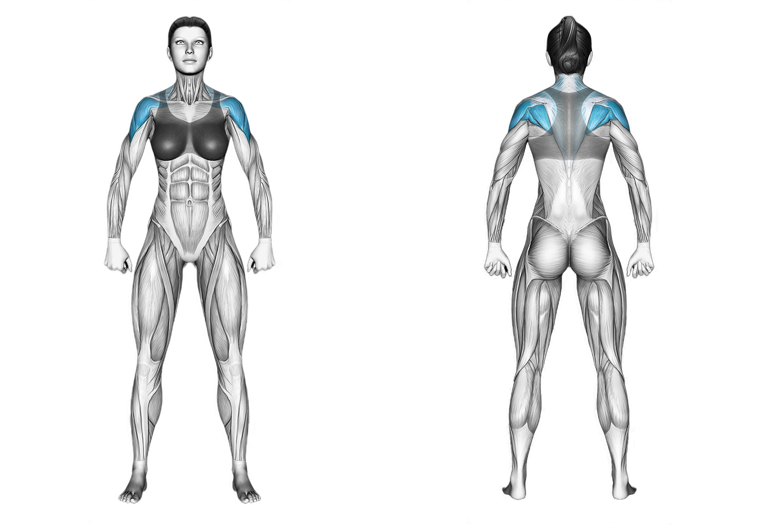 Cable Standing Rear Delt Row With Rope: shoulders