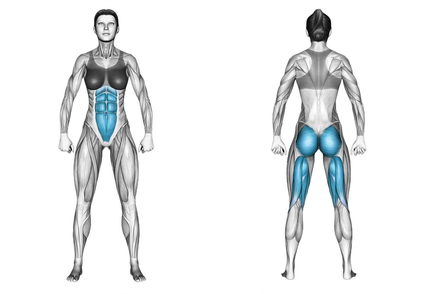 Glute Bridge March: glutes