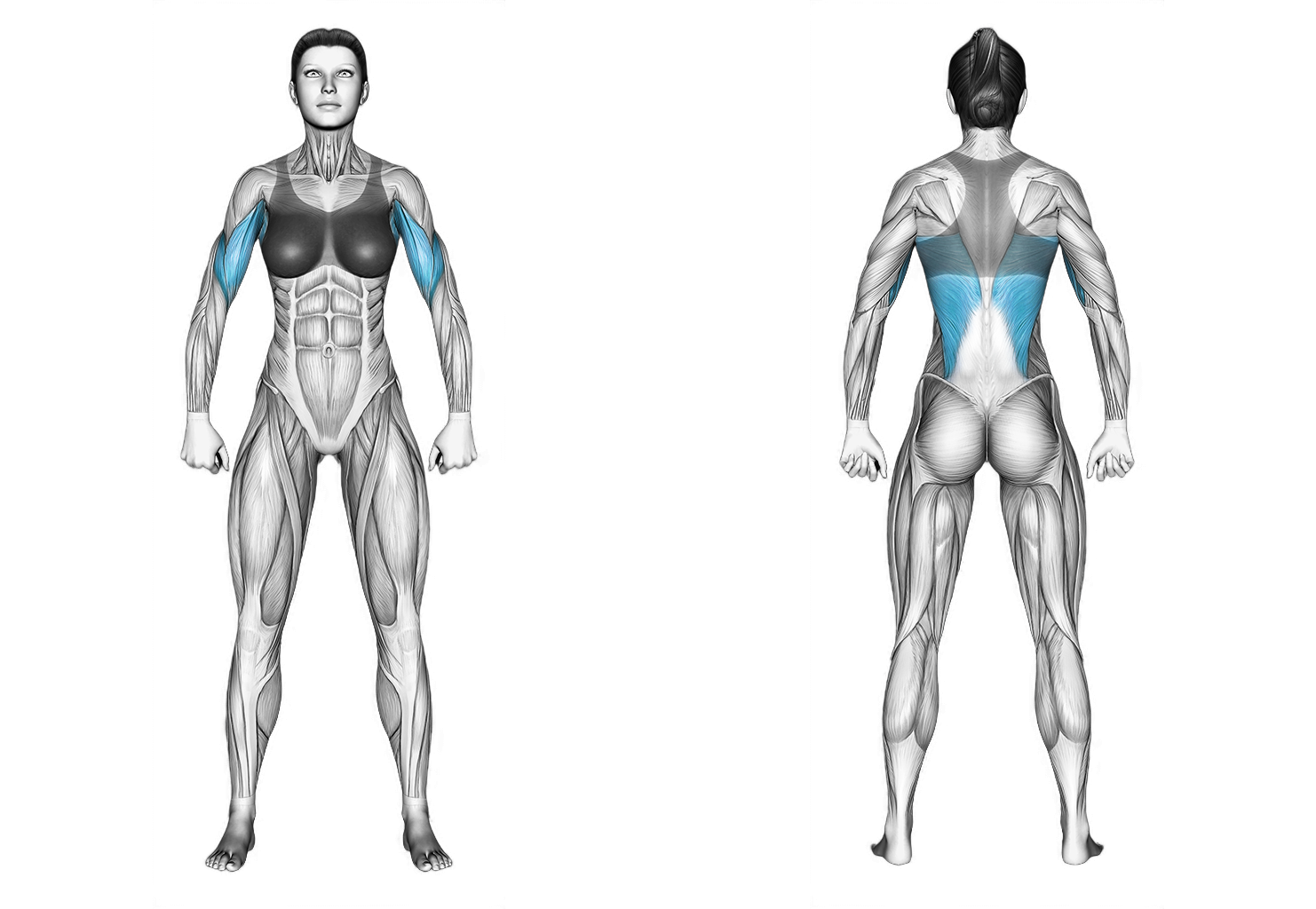 Hammer Grip Pull up on Dip Cage: back