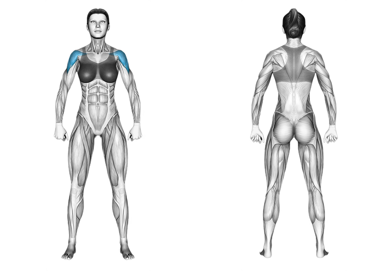 Dumbbell Standing Lateral Raise: shoulders