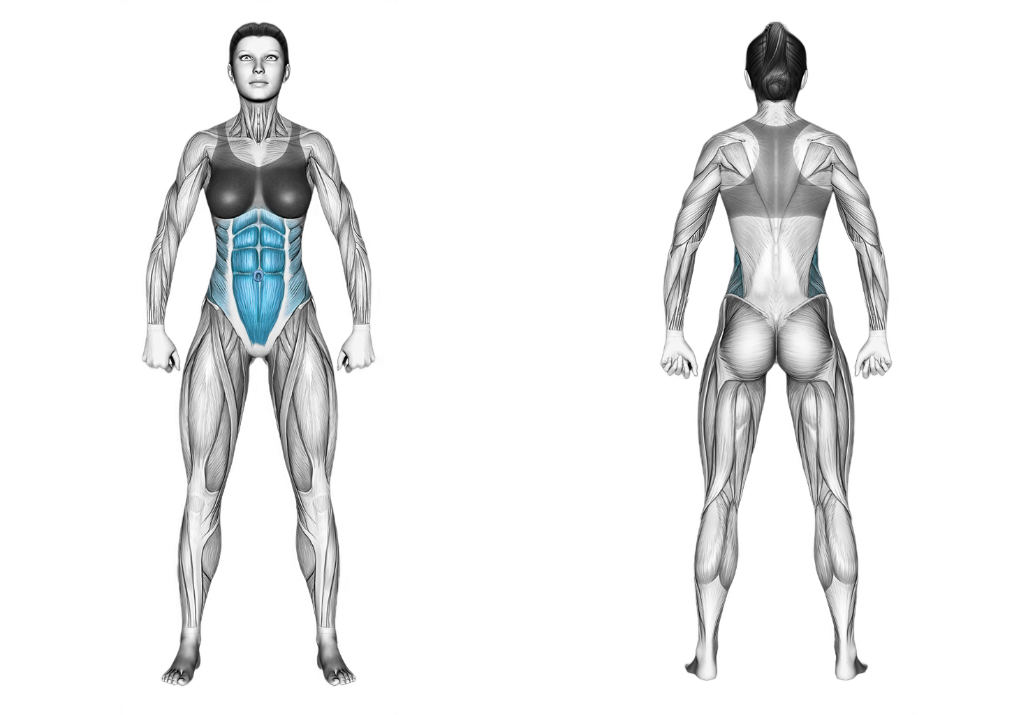Knee Touch Crunch: abs