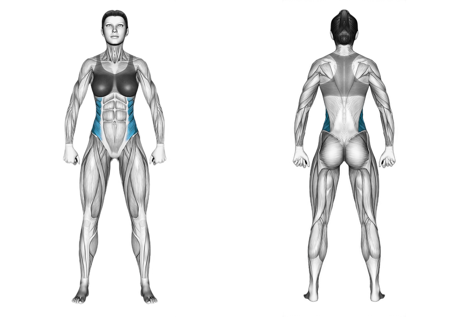 Standing Side Crunch: abs