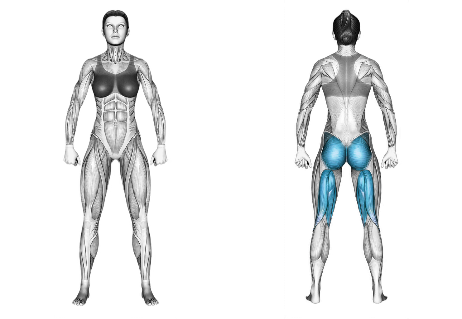 Basic to Cross Donkey Kick: glutes