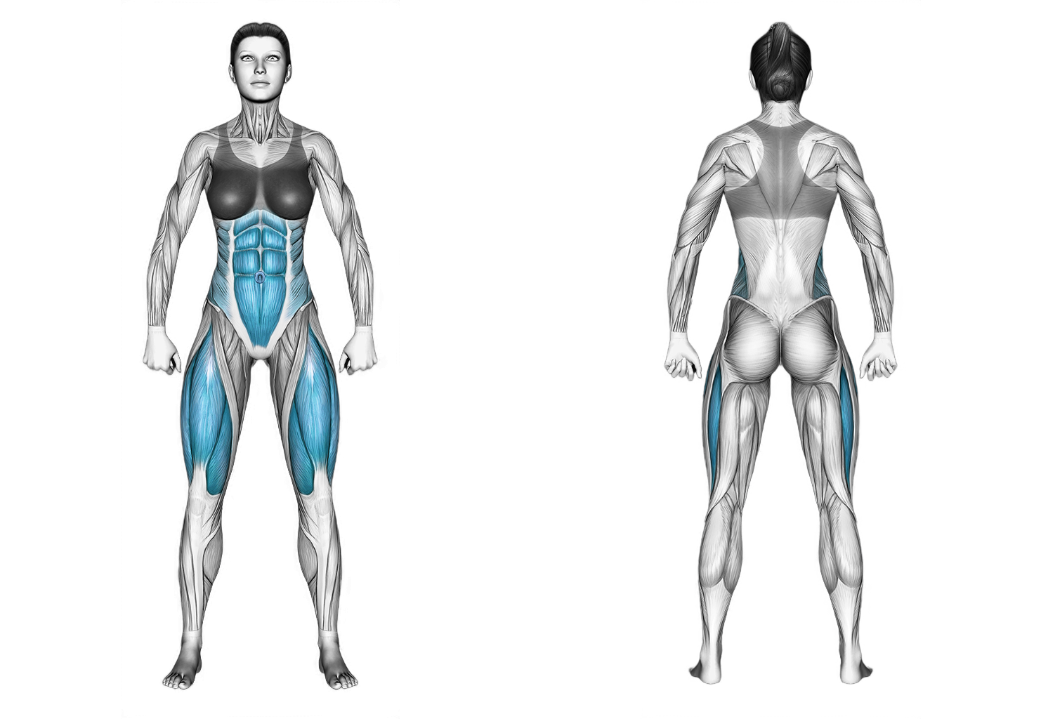 Sit up Stand up: abs