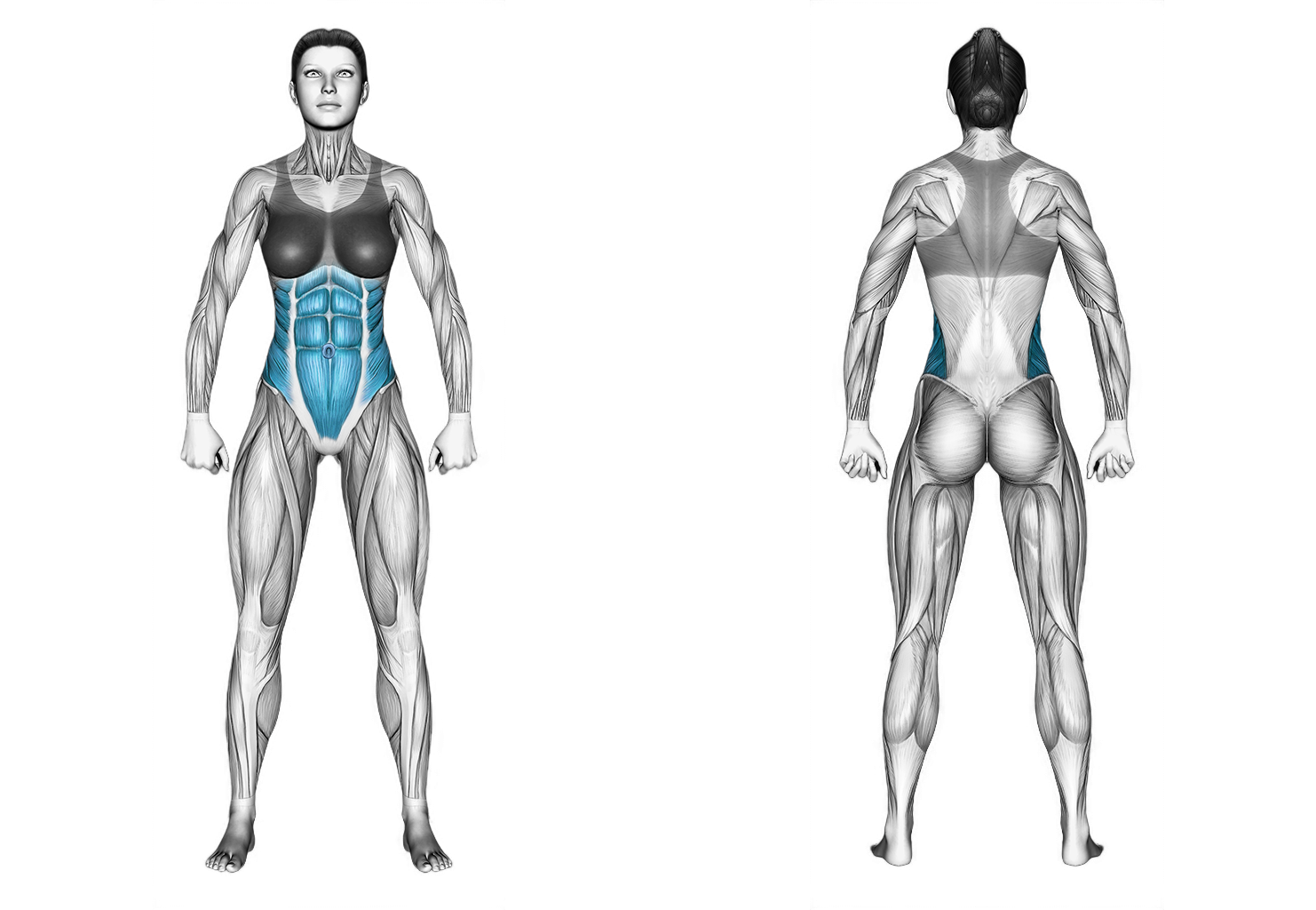 High Plank Knee Drop: abs