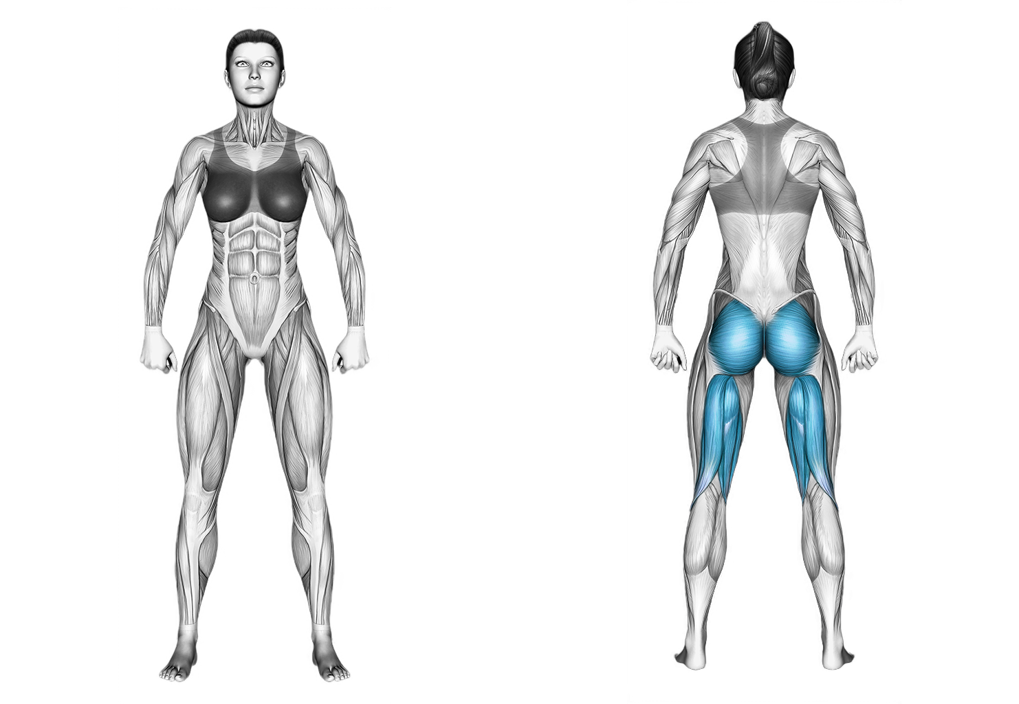 Alternate Donkey Kick: glutes