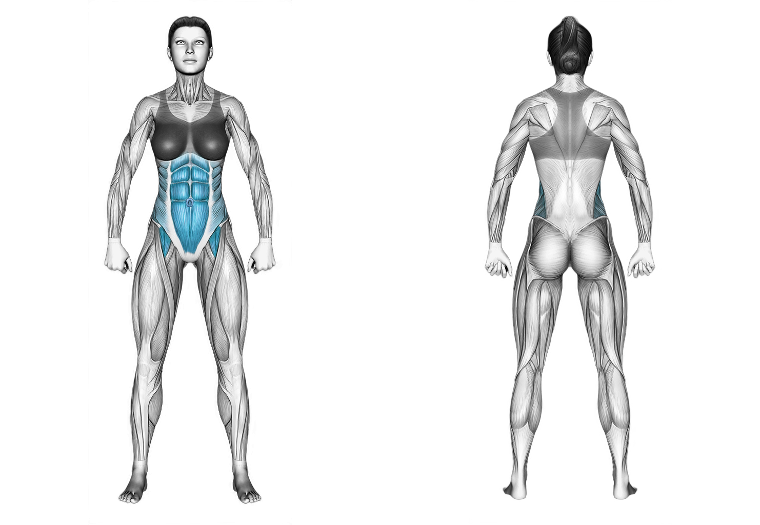 Sitting Alternate Knee Tuck on a Chair: abs