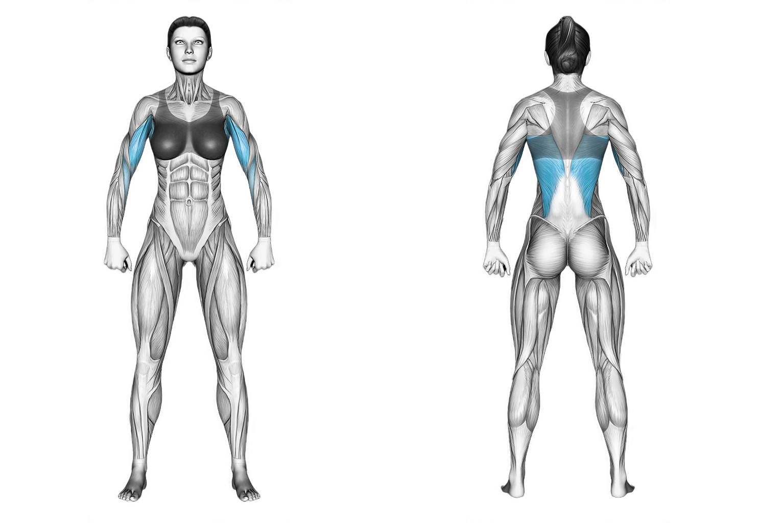 Cable Lateral Pulldown with Mag Grip: back