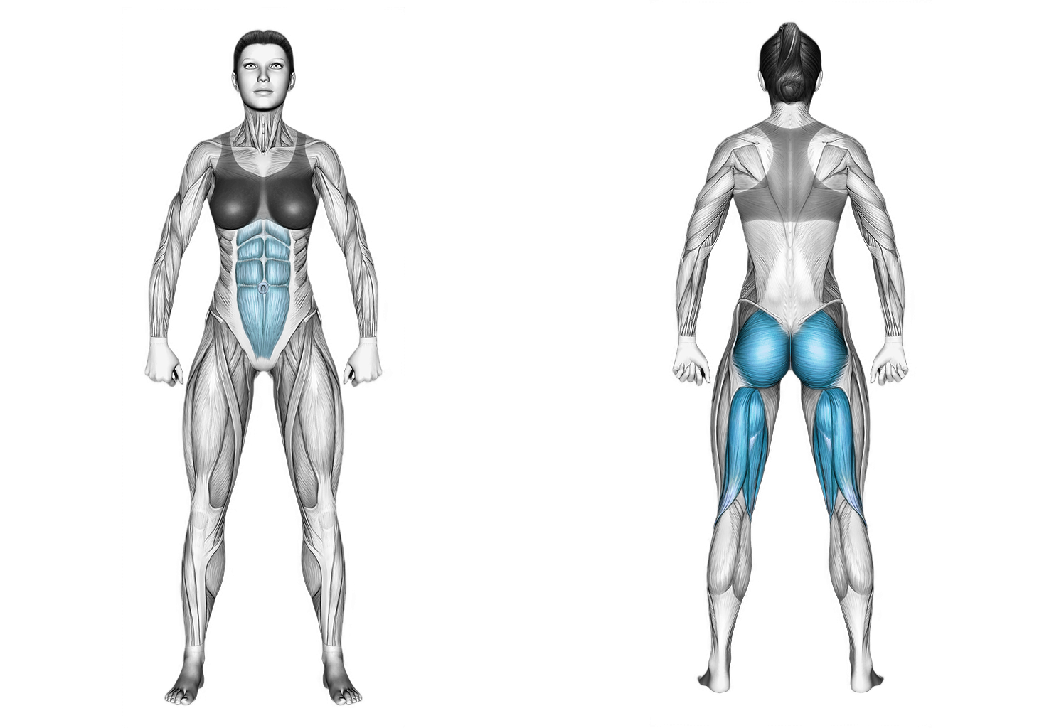 Table Top Bridge Pulse: glutes