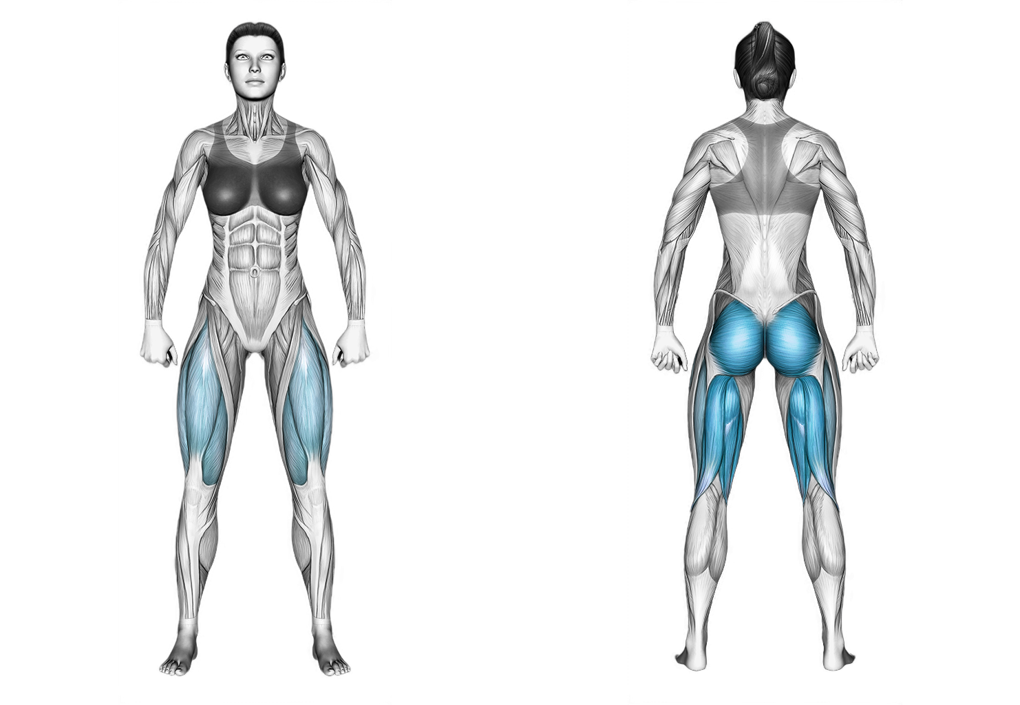 Bodyweight Deadlift Shin Tap: legs, back
