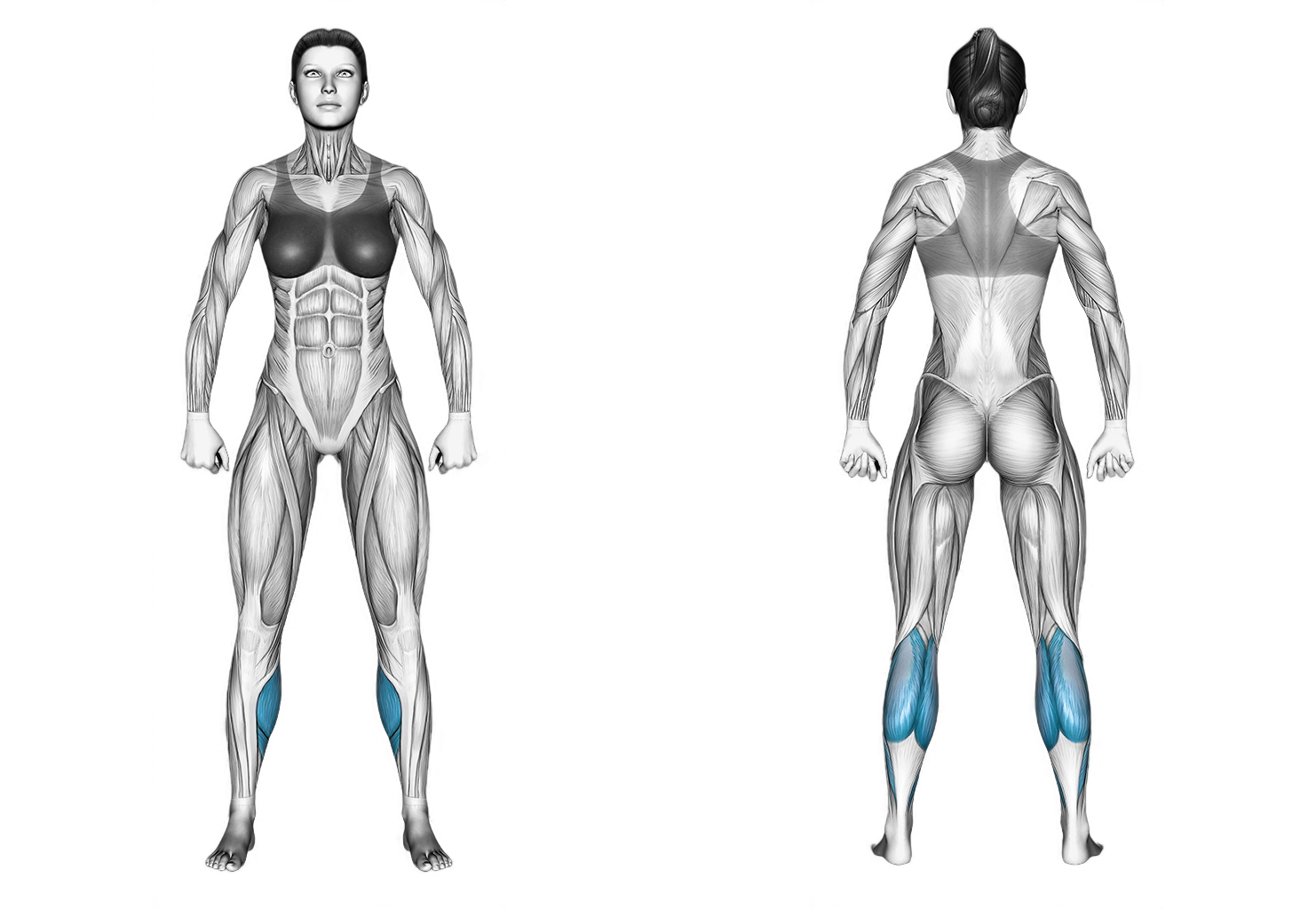 Bodyweight Standing Calf Raise on a Stepbox: calves