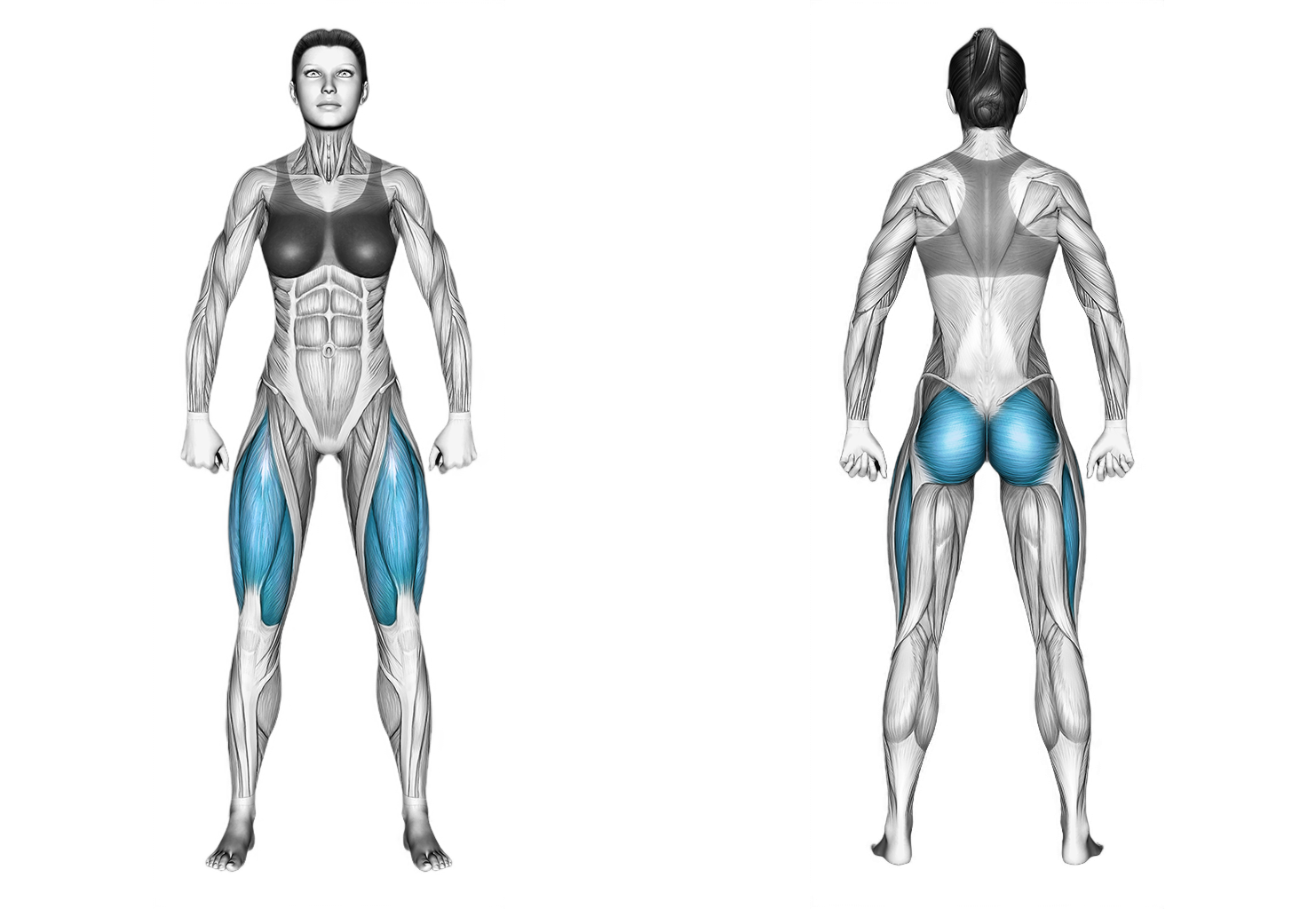 Bodyweight Arms Out Squat: legs