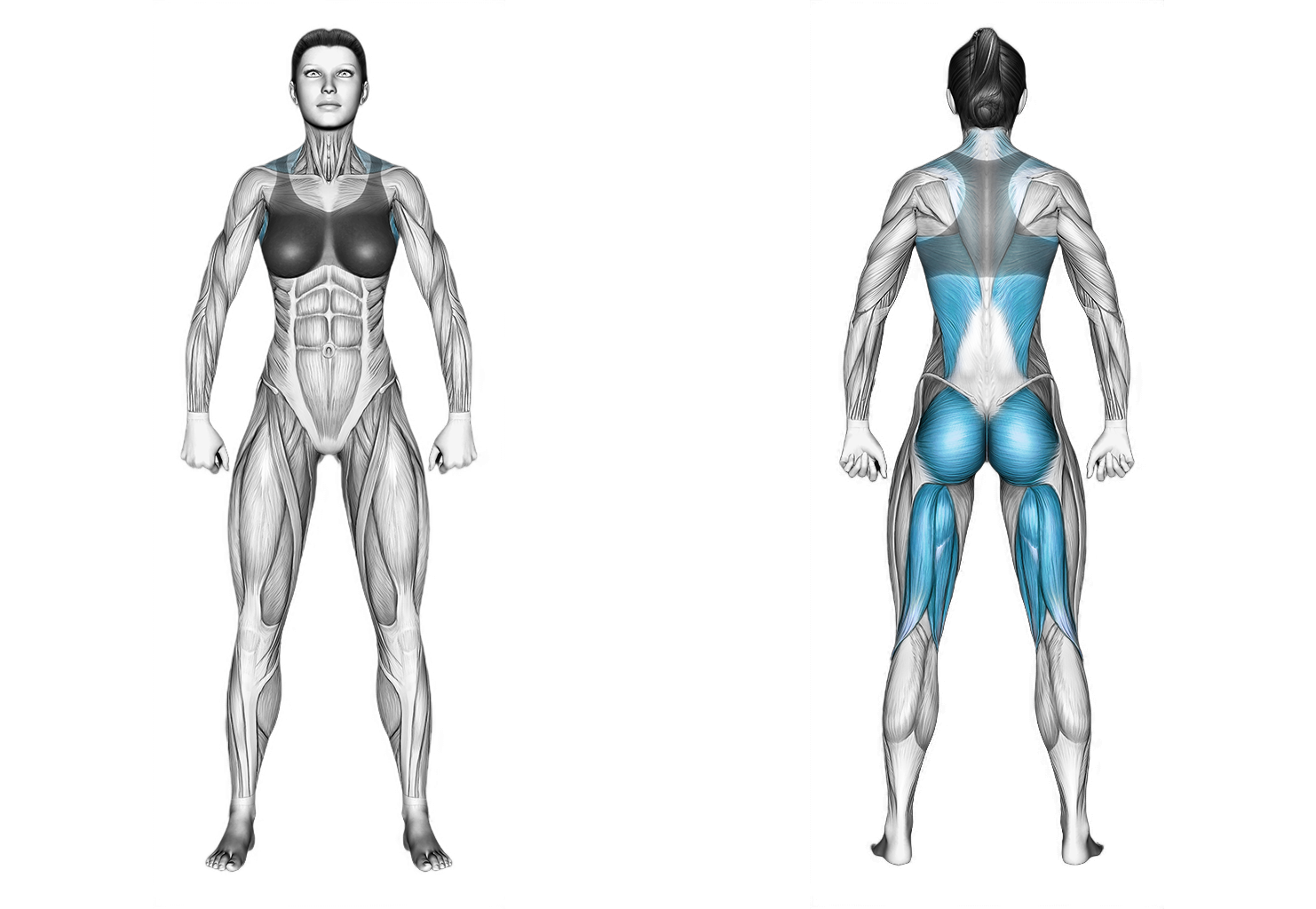 Alternate Opposite Superman Lift and Row: back