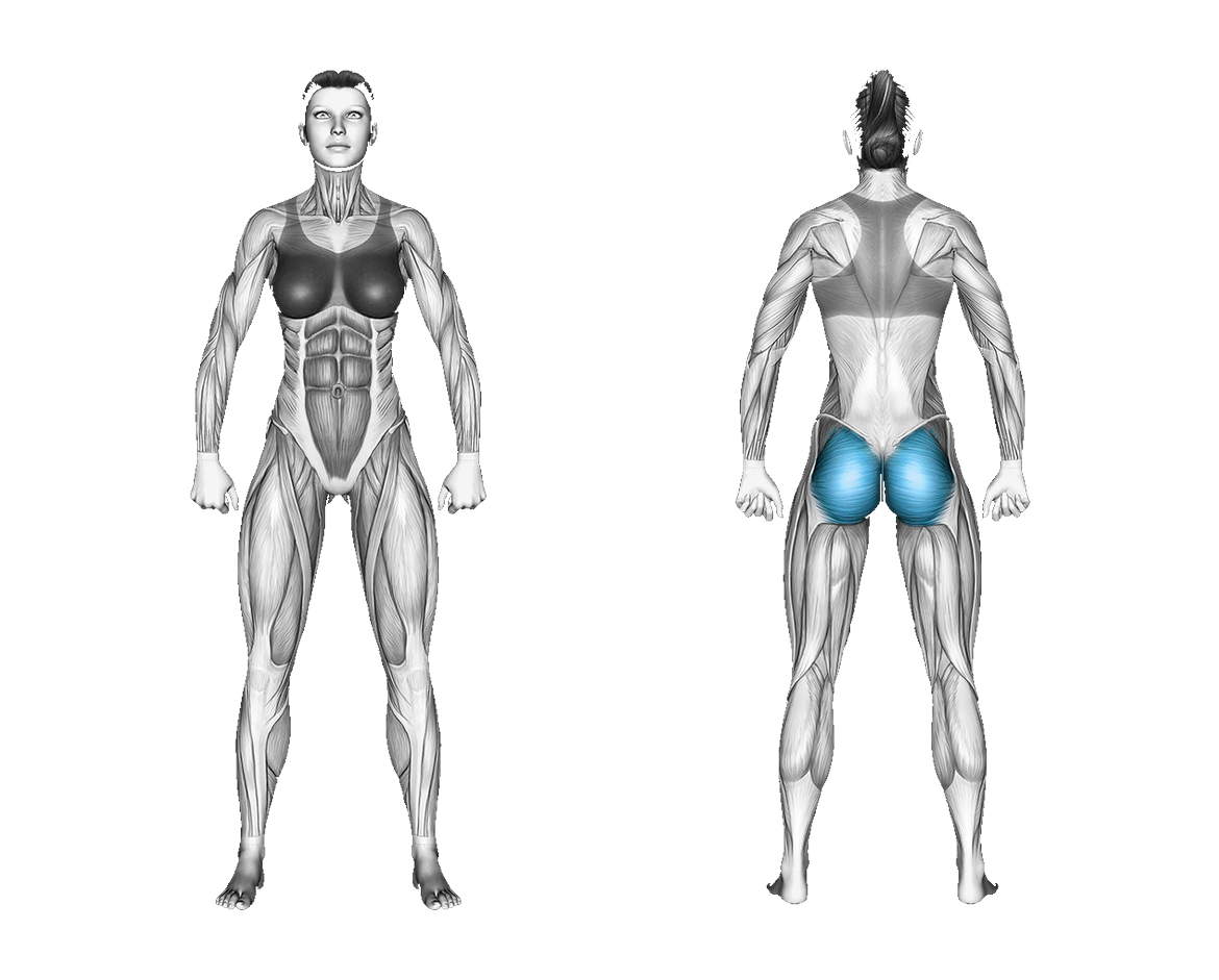 Resistance Band Bent Leg Kickback (Kneeling): glutes