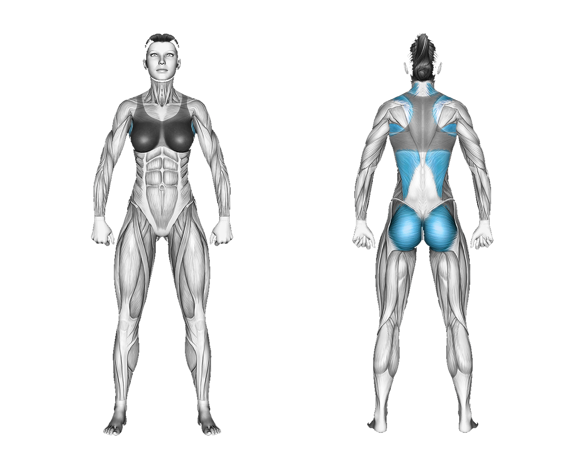 Resistance Band Floor Hyperextension: back, glutes