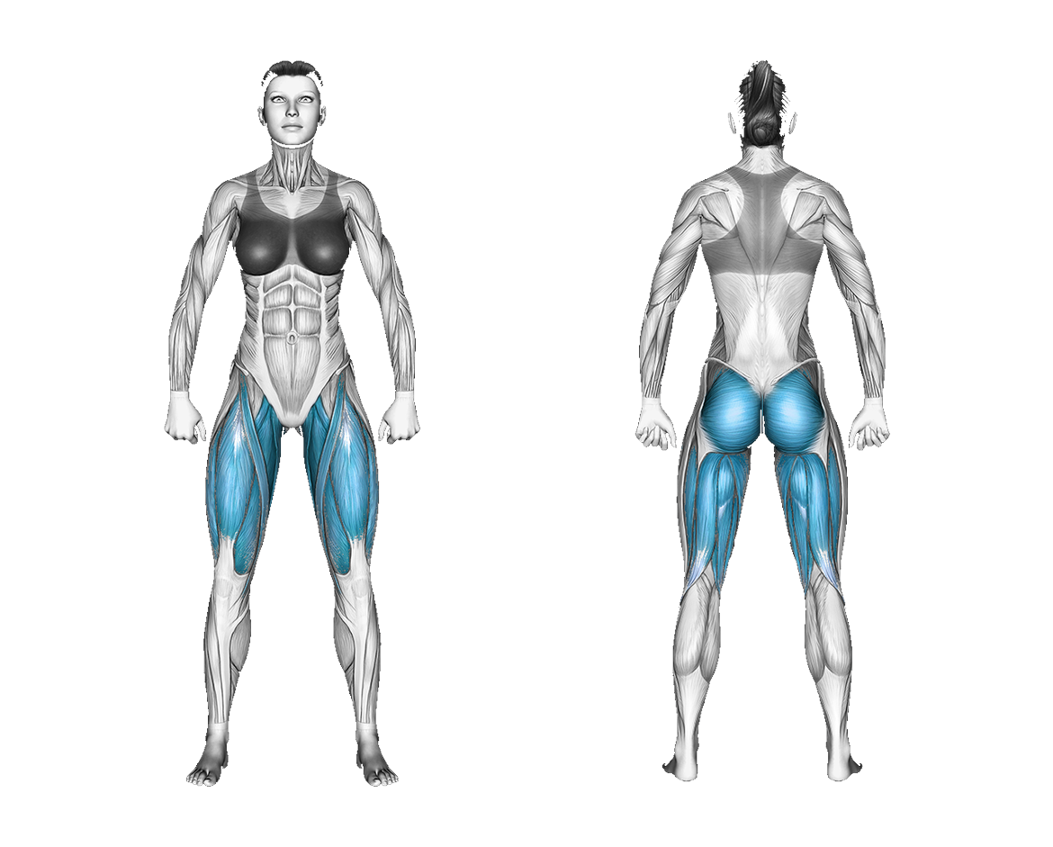 Resistance Band Pull Through: glutes, legs