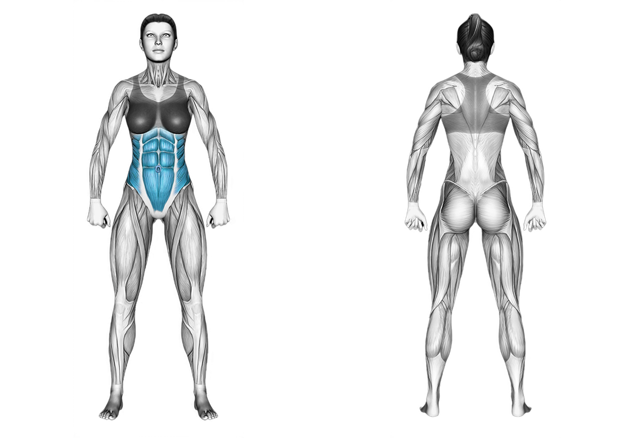 Sit-Up: abs