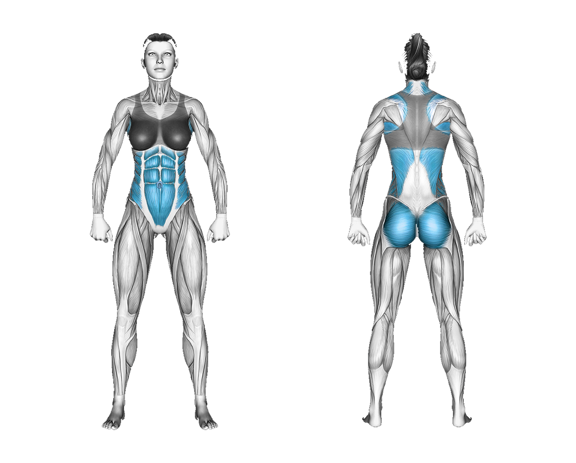 Resistance Band Bird Dog: abs, glutes, back