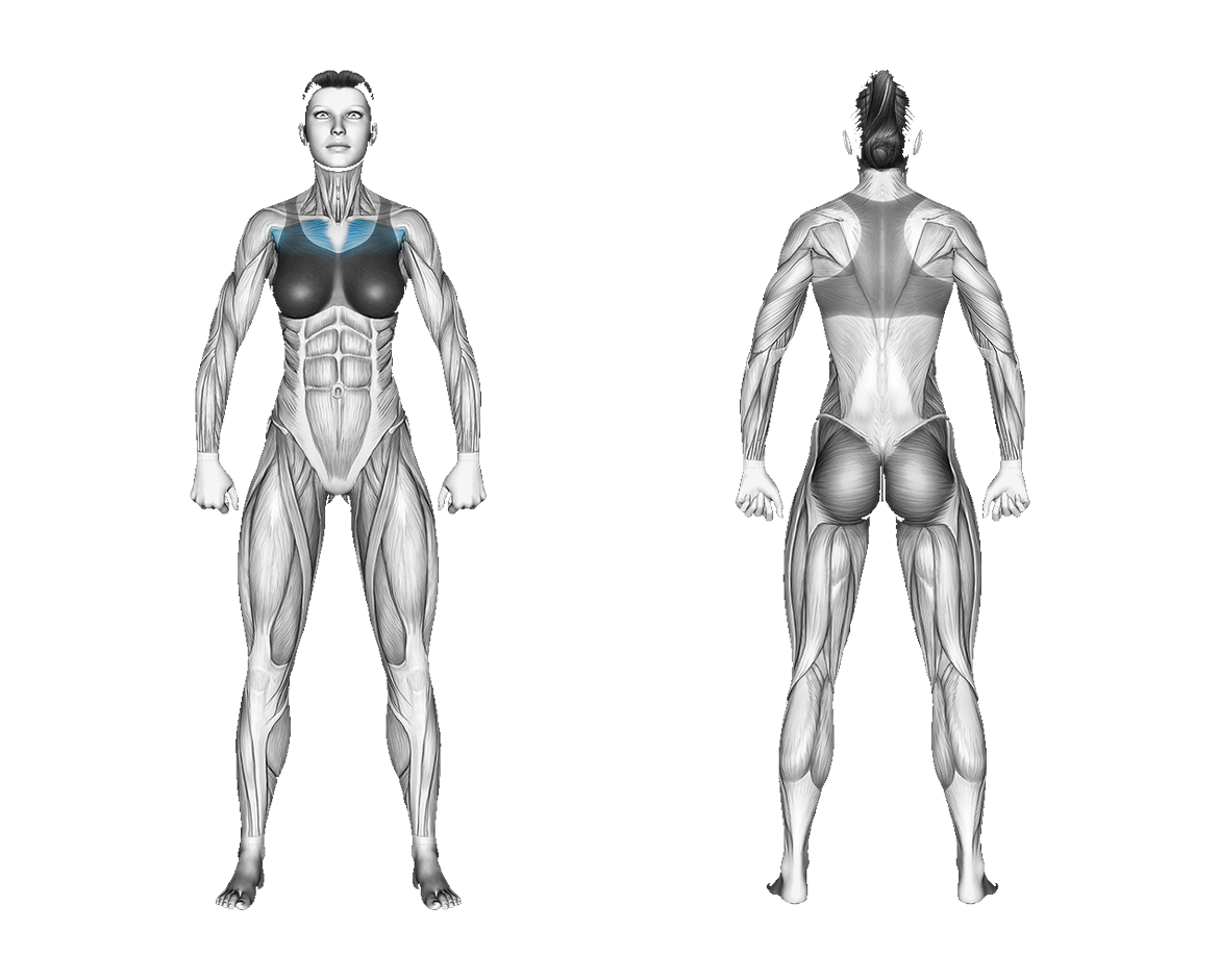 Resistance Band Single Arm Fly: chest