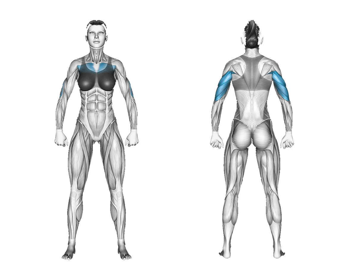 Resistance Band Lying Floor Chest Press: chest, triceps