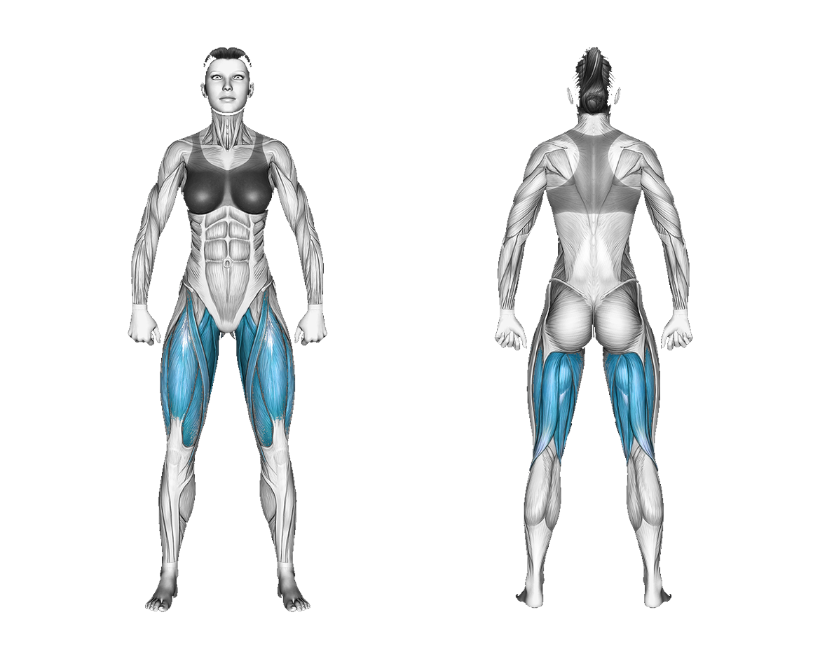 Resistance Band Sitting Knee Extension on a Chair: legs
