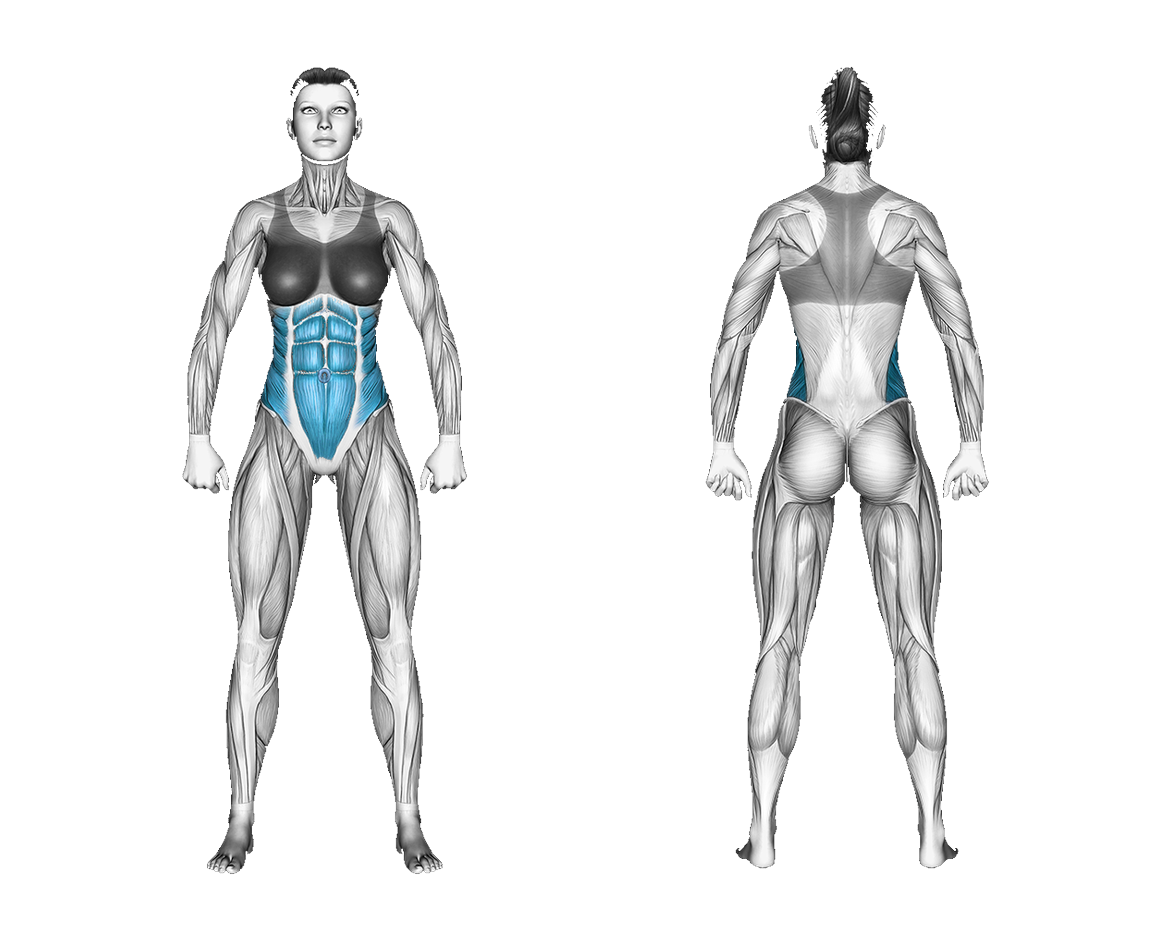 Band Standing Torso Rotation: abs
