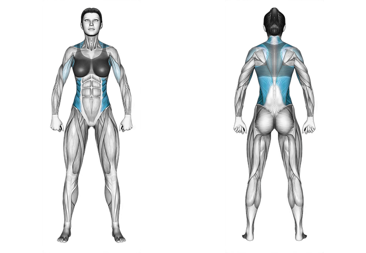 Dumbbell One Arm Bent over Row: back