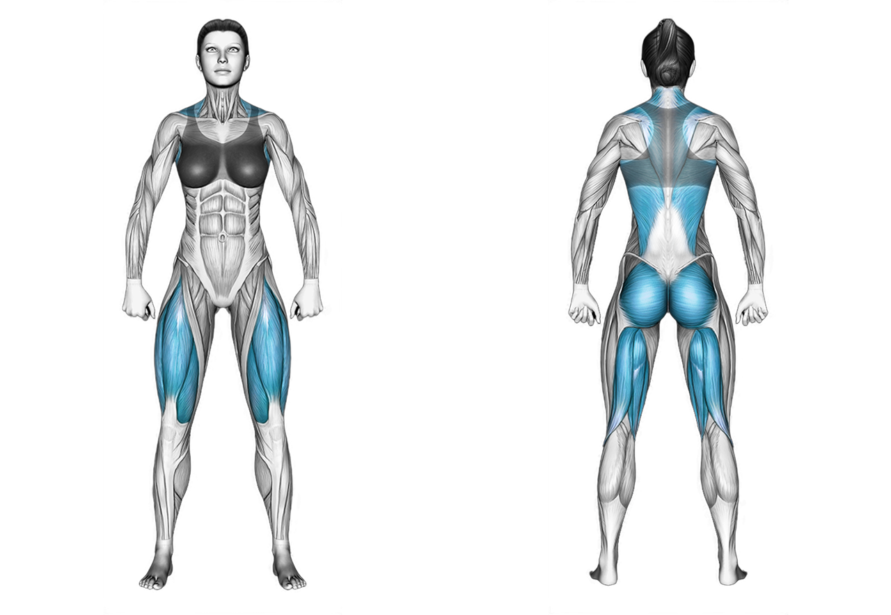 Dumbbell Deadlift: back, legs