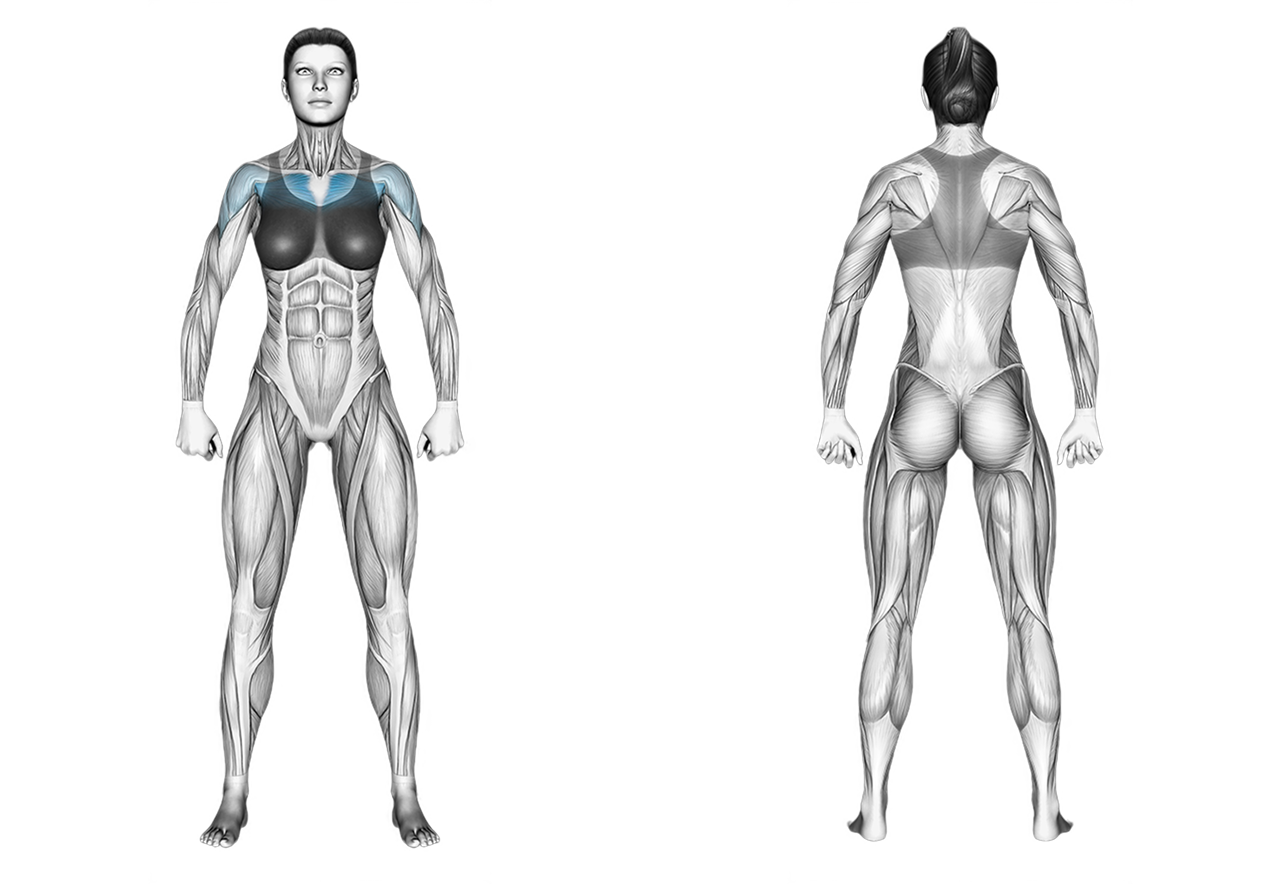 Dumbbell Rear Delt Fly: shoulders