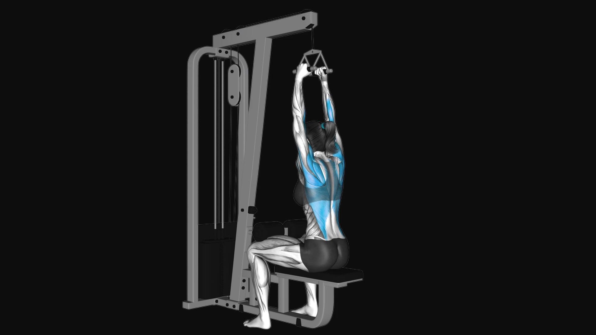 Cable Seated High Row with V-bar