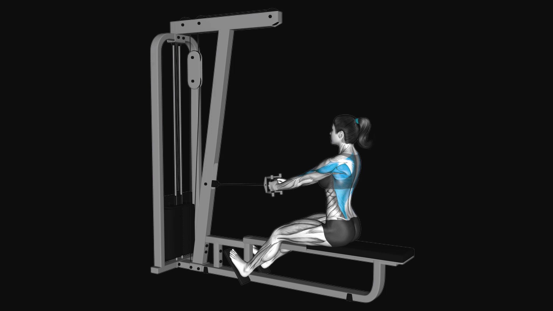 Cable Straight Back Seated Row with V-Bar