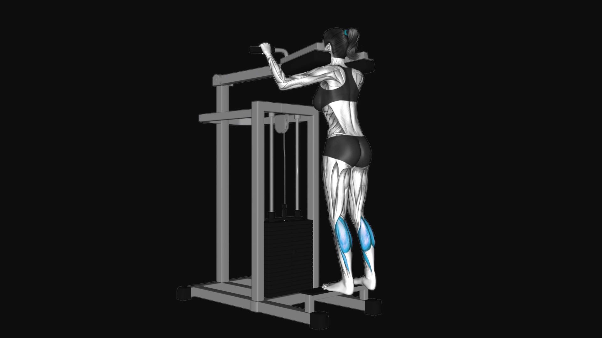Lever Standing Calf Raise