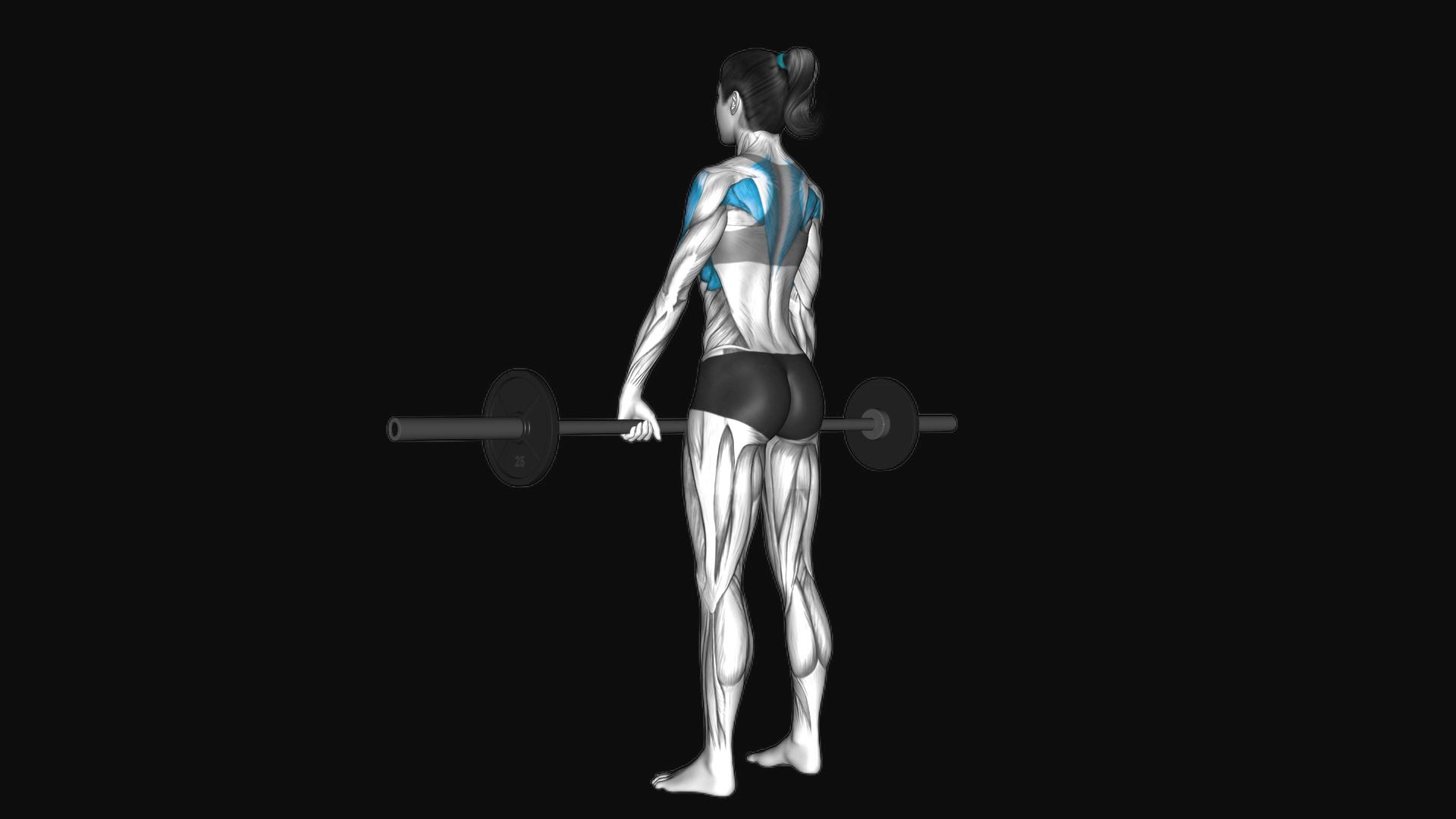 Barbell Wide Grip Upright Row