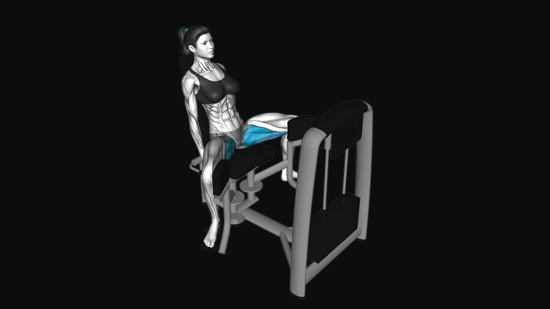 Lever Seated Hip Adduction