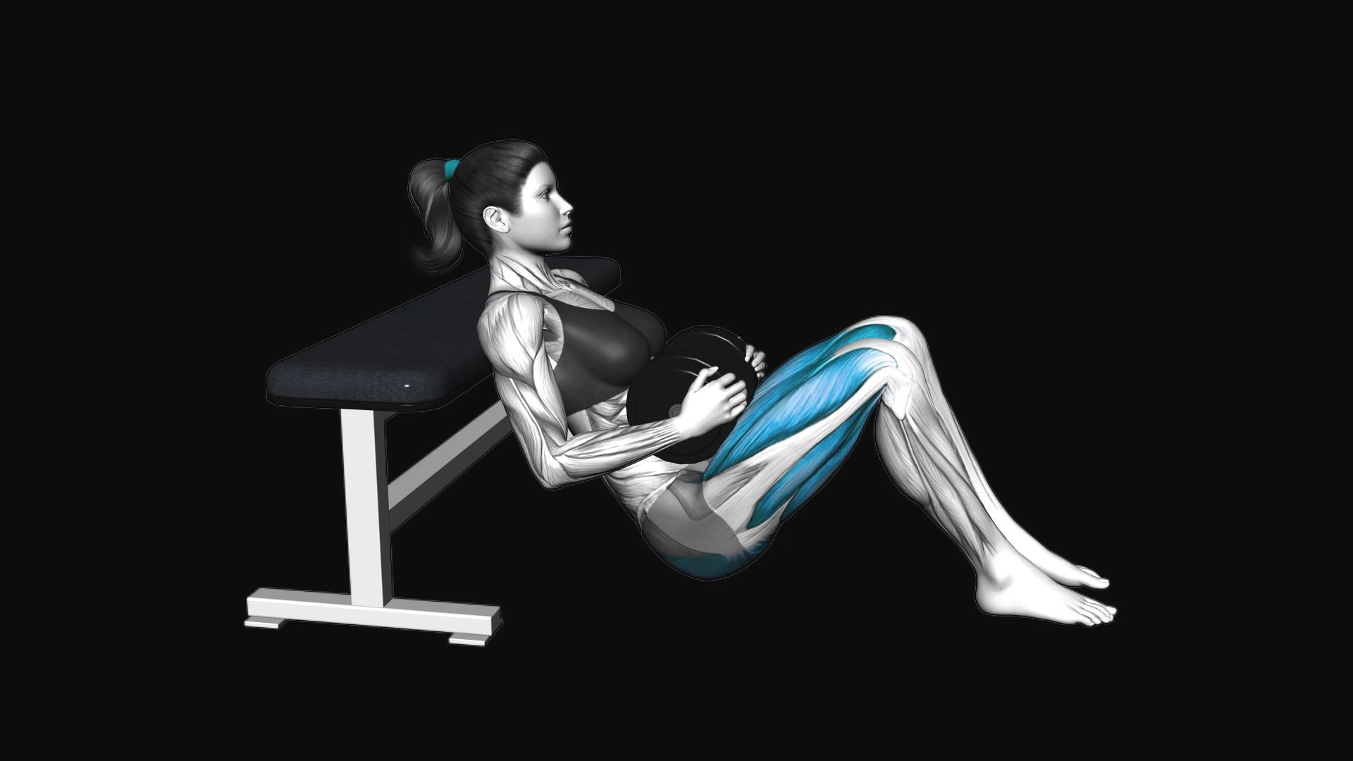 Dumbbell Hip Thrust on Bench